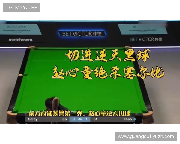 伟德体育登陆账号登录遇到问题怎么办全面解决方案帮助你顺利进入游戏